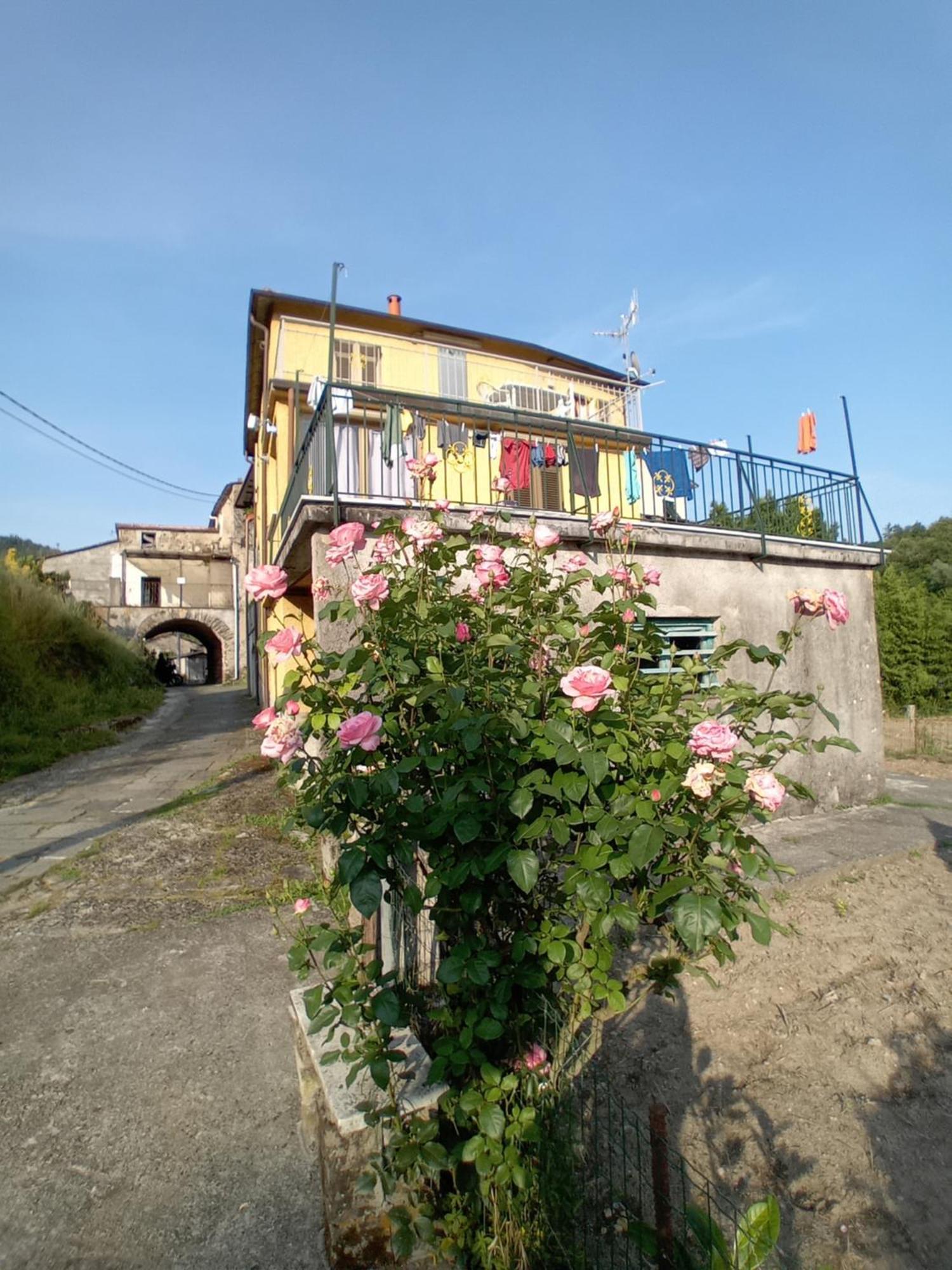 Agriturismo Ghirlanda Norma Rita Villa Carrodano Inferiore Exterior photo